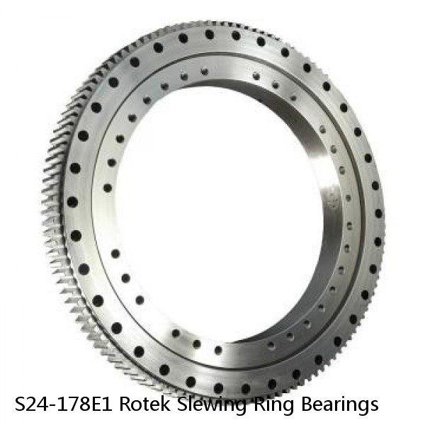 S24-178E1 Rotek Slewing Ring Bearings