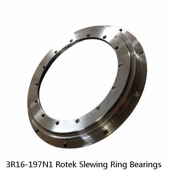 3R16-197N1 Rotek Slewing Ring Bearings