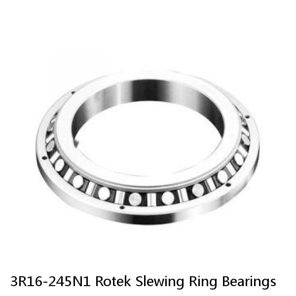 3R16-245N1 Rotek Slewing Ring Bearings