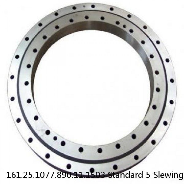 161.25.1077.890.11.1503 Standard 5 Slewing Ring Bearings