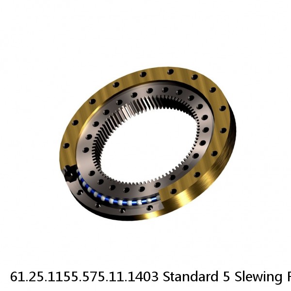 61.25.1155.575.11.1403 Standard 5 Slewing Ring Bearings