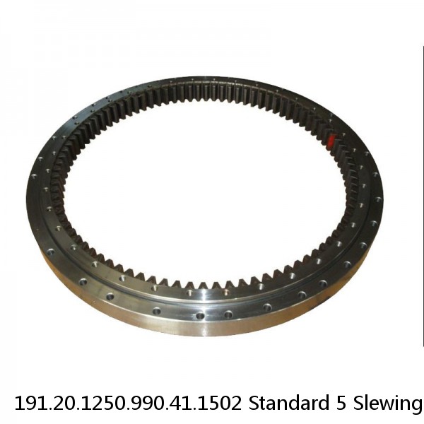 191.20.1250.990.41.1502 Standard 5 Slewing Ring Bearings