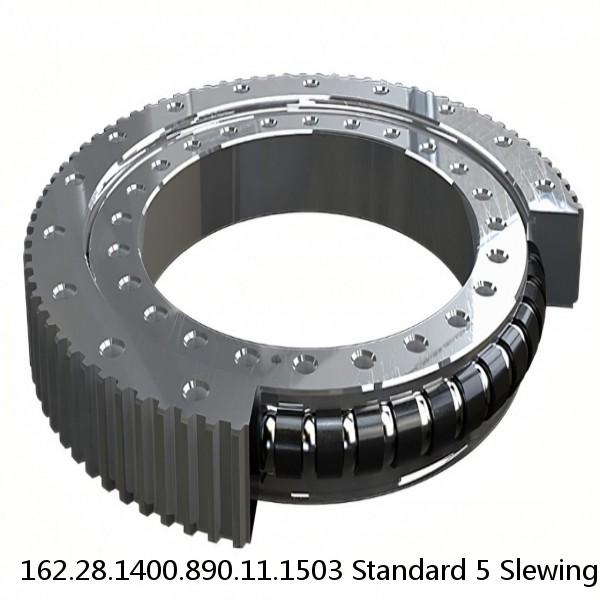 162.28.1400.890.11.1503 Standard 5 Slewing Ring Bearings