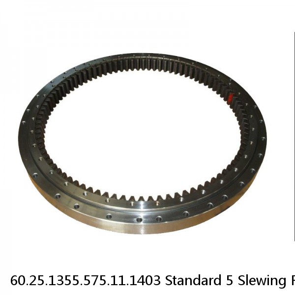 60.25.1355.575.11.1403 Standard 5 Slewing Ring Bearings