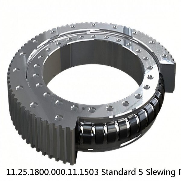 11.25.1800.000.11.1503 Standard 5 Slewing Ring Bearings